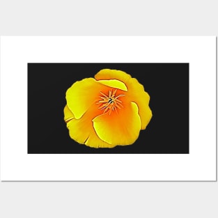 California State Flower Golden Poppy Eschscholtzia Californica Pattern Posters and Art